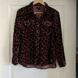 rose gols, leopard pront, velvet blouse